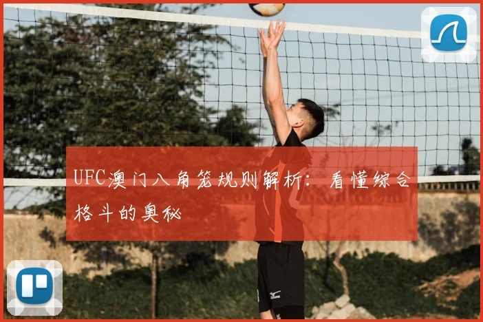 UFC澳门八角笼规则解析：看懂综合格斗的奥秘