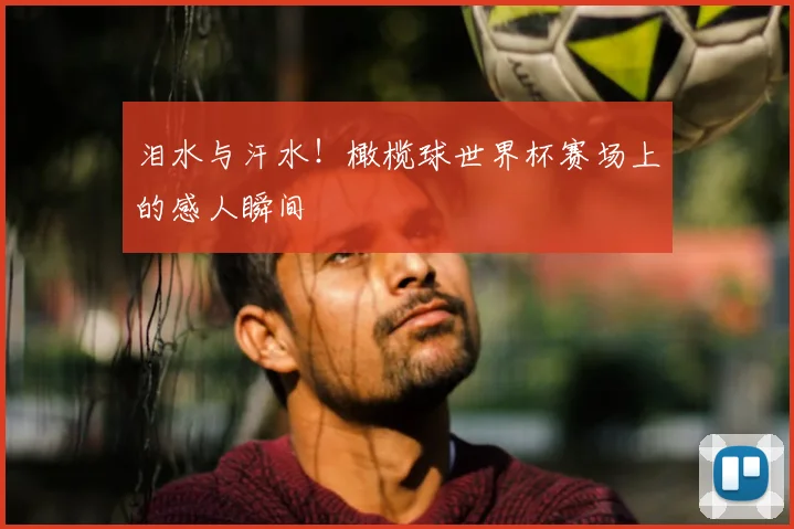 泪水与汗水！橄榄球世界杯赛场上的感人瞬间