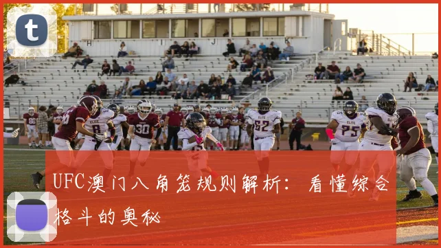 UFC澳门八角笼规则解析：看懂综合格斗的奥秘