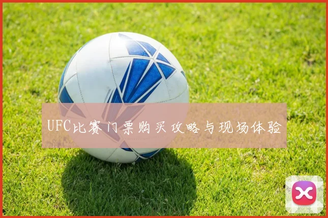 UFC比赛门票购买攻略与现场体验