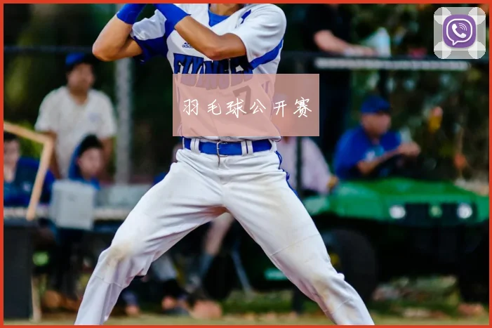 羽毛球公开赛