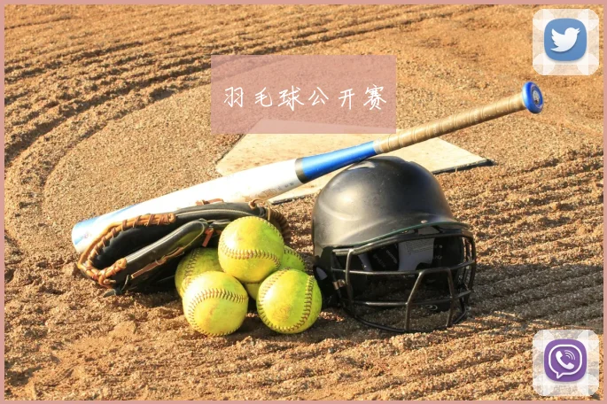 羽毛球公开赛