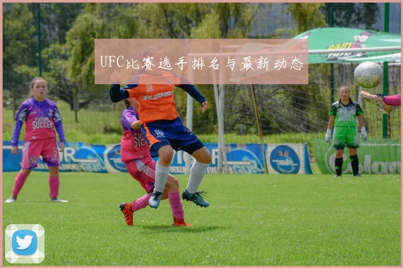 UFC比赛选手排名与最新动态