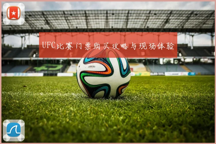 UFC比赛门票购买攻略与现场体验